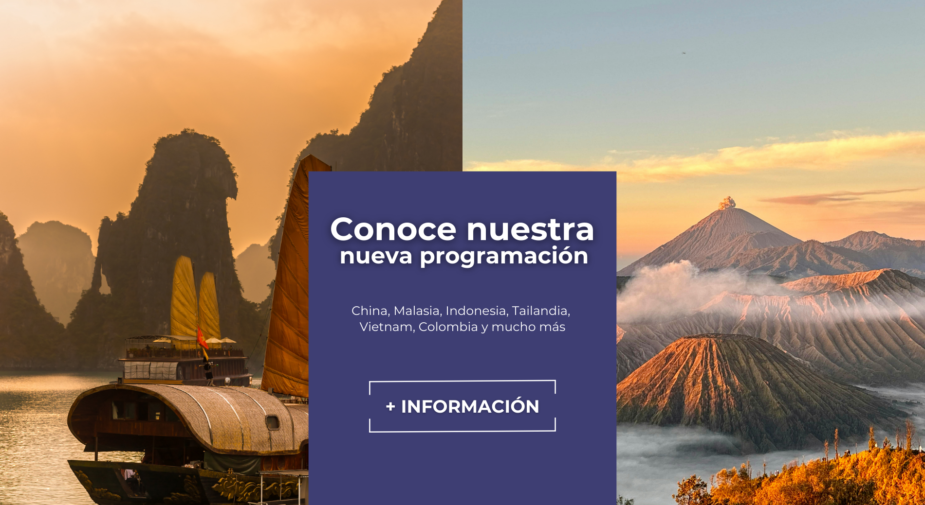 Portada Web   Nuevos Programas (1900 X 1039 Px) (4)