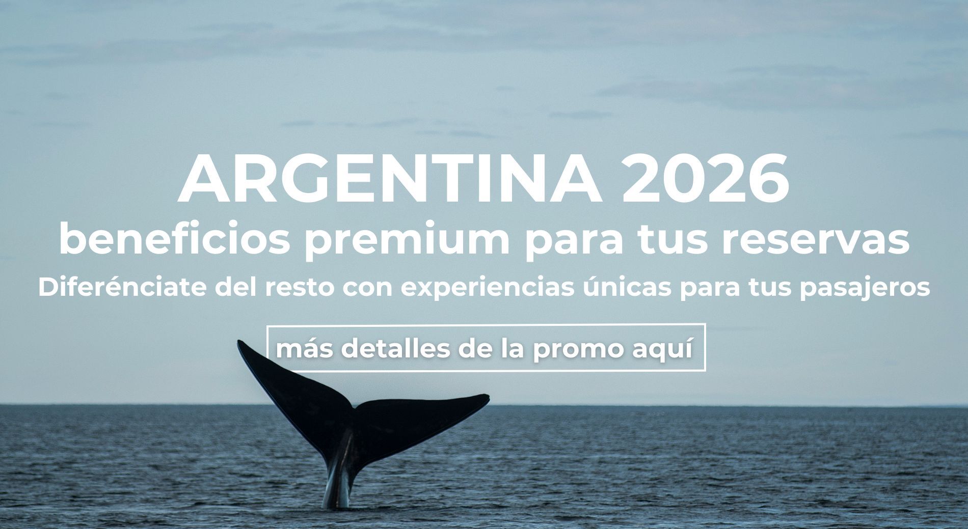 Banner Web Argentina Duaoc